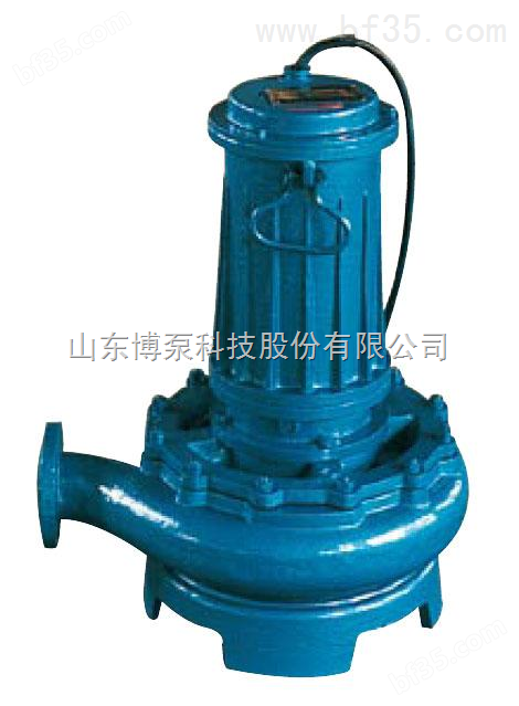 潜水排污泵 博泵科技 中国泵业名城 博山潜污泵 博山水泵                  