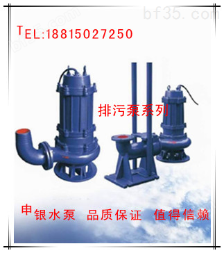 【*】耦合装置排污泵/无堵塞潜水排污泵带耦合装置