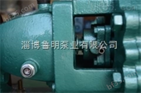鲁明专业制造-不锈钢化工泵
