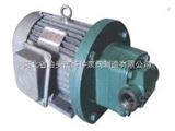 ZYB重油齿轮泵,高温油泵BRY65-40-250