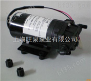 DP-100微型电动隔膜泵                           