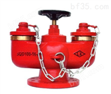 多功能水泵接合器SQD多功能消防水泵接合器SQD