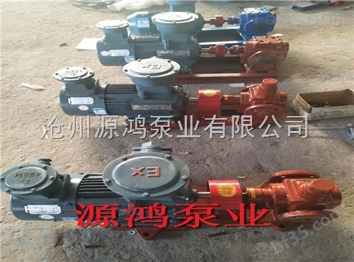 沧州源鸿专业生产YCB10-0.6圆弧齿轮泵，磁链齿轮泵