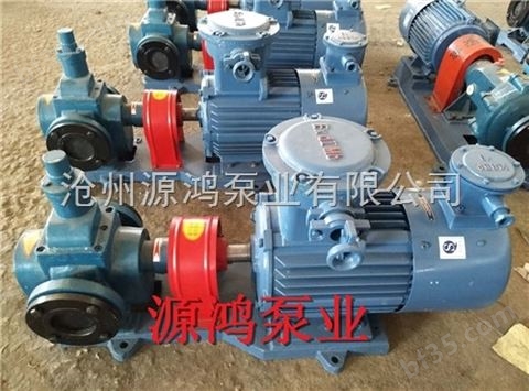 沧州源鸿专业生产YCB10-0.6圆弧齿轮泵，磁链齿轮泵