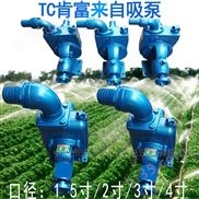 液环式抽水泵 TC系列自吸泵