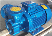 高扬程旋涡泵W型-季诚泵业有限公司